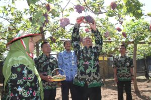 Pemkot Probolinggo: Gelar Potensi Di Hari Krida Pertanian