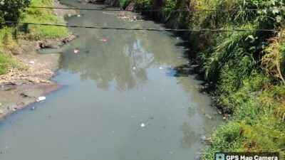 Pemerintah kabupaten Probolinggo Sampaikan Hasil Survei Lapangan Penyebab Air Sungai Kedunggaleng Hitam dan Bau